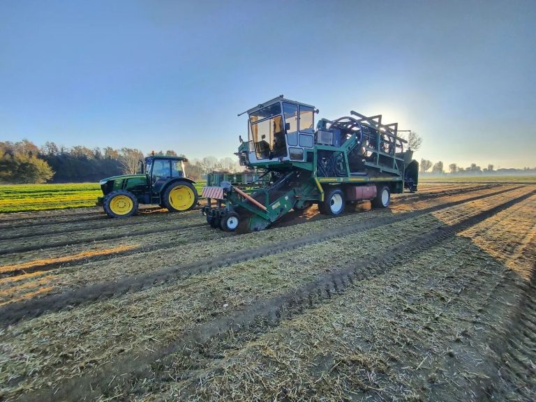 Le Cooperative Agricole Braccianti cercano 30 nuovi lavoratori. Ecco dove mandare la candidatura