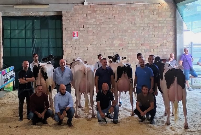 La Frisona protagonista dei 130 anni del Consorzio Agrario di Parma