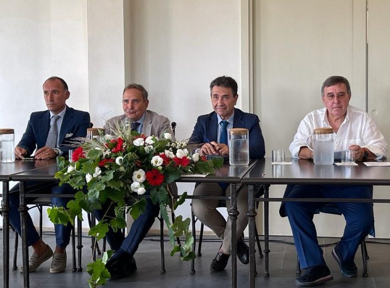 In Sicilia nasce Vino Connect, una cooperativa per la filiera del vino regionale