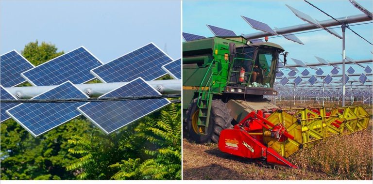 Agrivoltaico, pubblicata la prassi di riferimento. Le indicazioni di ENEA