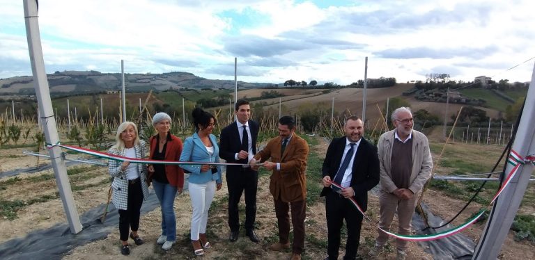 Pesca Saturnia: nel 2023 2,5 mln di Kg raccolti. Inaugurato un nuovo frutteto da 70 mila piante