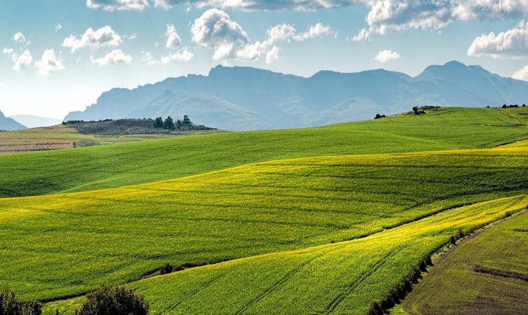 Agricoltura e sostenibilità in un incontro all’Accademia dei Georgofili il 5 ottobre