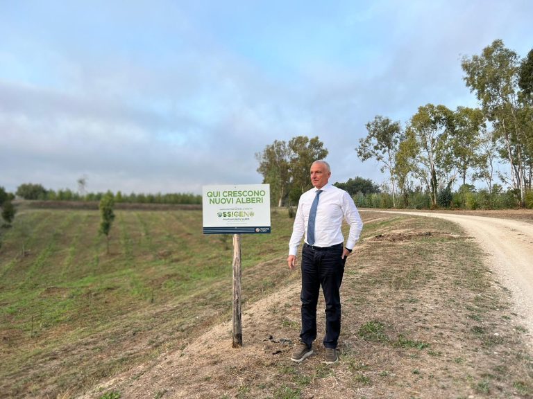 Più alberi nel Lazio per un’aria più pulita: il contributo del CREA al progetto Ossigeno