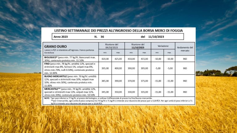 Scende il prezzo del grano duro a Foggia: il Fino a 390-395 euro/tonn. (- 5 euro), cala il Biologico (-10 euro) e il Buono Mercantile (-15 euro)