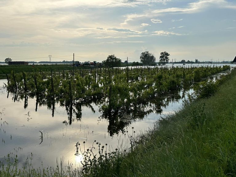 Ortofrutta Emilia Romagna a rischio. SOS Cia: settore da 1,2 mld euro e 25 mila imprese. Servono misure straordinarie