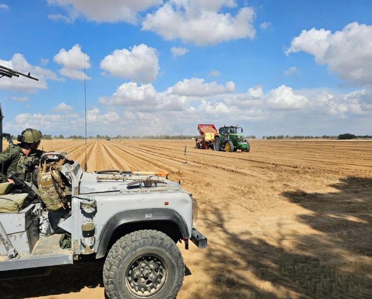 Israele: iniziata la semina delle patate nei campi di Lev Hanegev, intorno alla Striscia di Gaza