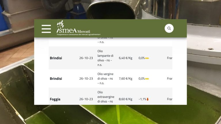 Prezzi olio d’oliva: qualche calo e aumento fra extravergini e dop. Tutte le quotazioni in 17 piazze italiane