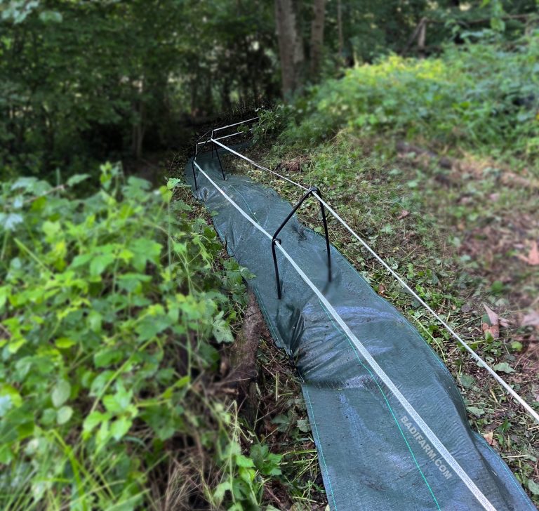 Proteggi i tuoi campi e le tue colture dalla fauna selvatica con Badi Farm