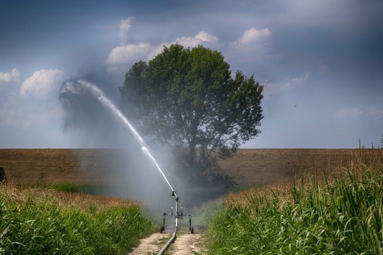 Nel Casertano aziende senza gasolio agricolo. Altragricoltura Caserta scrive all’assessore Caputo