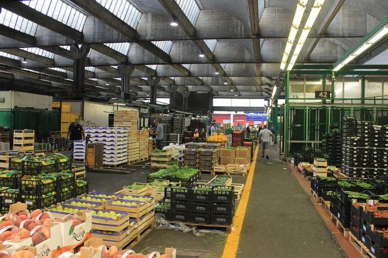 Foody, Mercato Agroalimentare Milano: punto di riferimento per l’intera filiera agroalimentare