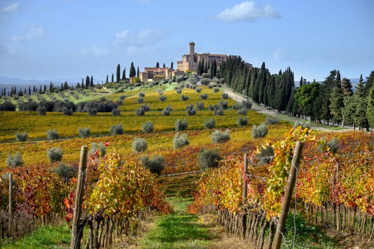 A Montalcino (Si) Banfi cresce nella sostenibilità e diventa modello imprenditoriale