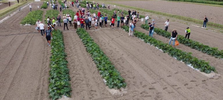 I biostimolanti sono la chiave di volta per il futuro: meno impatto ambientale ed economico