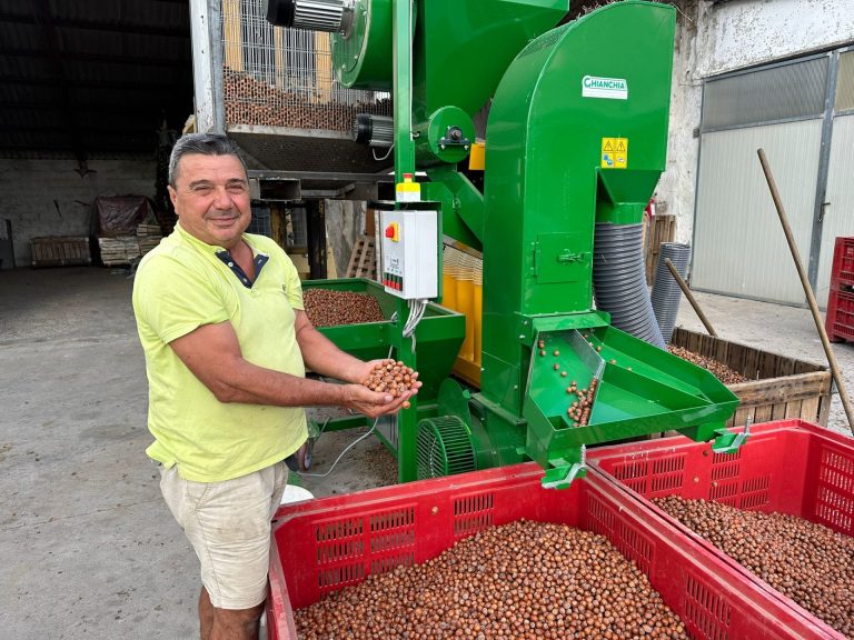 Dalla frutta fresca a quella secca: con le nocciole un agricoltore veneto ha battuto la crisi