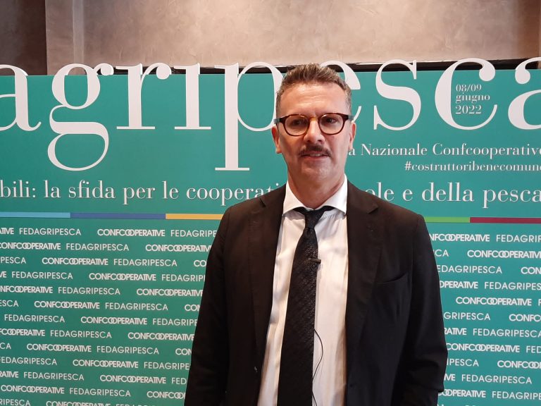 PAC. Fedagripesca, Positivo intervento di revisione, ma serve sguardo ai mercati