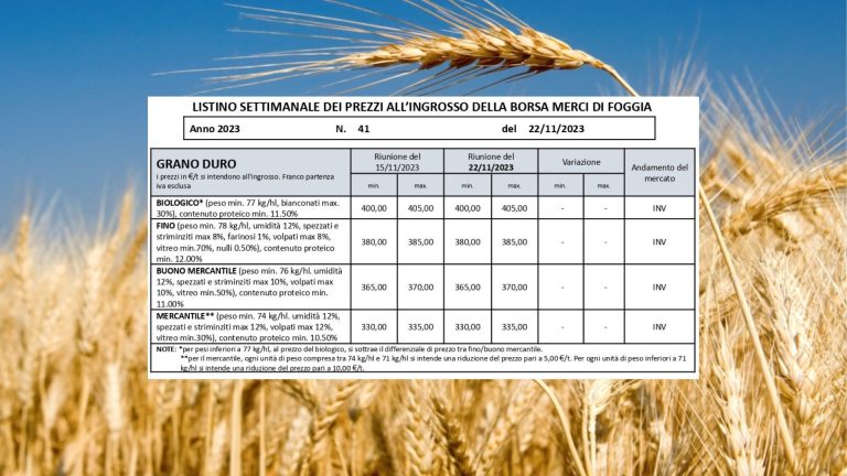 Grano duro: listino invariato (22 novembre) a Borsa Merci Foggia. Il Fino resta Il Fino a 380-385 euro/t.: oltre 200 euro in meno rispetto al 2022