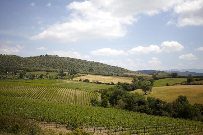 I produttori del Montecucco dicono no agli impianti fotovoltaici industriali. Petizione contro parco di 30 ettari