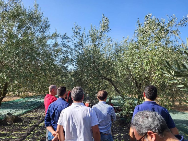 L’ovicoltura in Puglia: giovedì 27 giugno appuntamento a Montalbano di Fasano (Br)