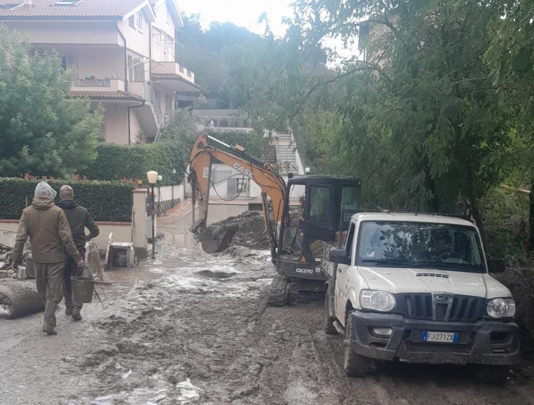 Maltempo in Toscana. Boscaioli pratesi in prima linea: con escavatori e trattori tagliano alberi per liberare le strade e tolgono il fango dalle case