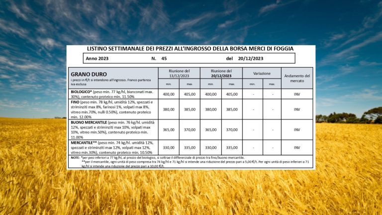 Grano duro, quotazioni (20 dicembre) bloccate da 8 settimane. Il Fino resta bloccato a 380-385 euro/t.