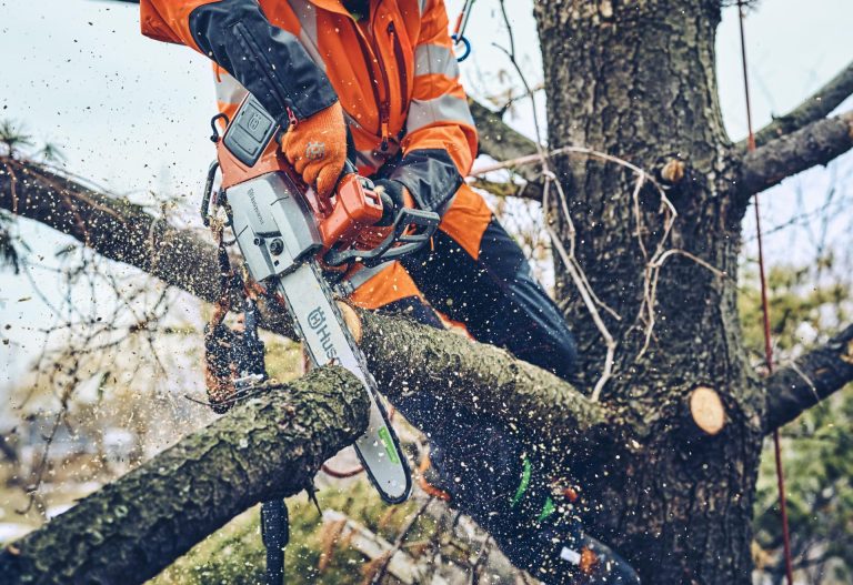 Husqvarna lancia le prime motoseghe a batteria con frizione per potatura e taglio