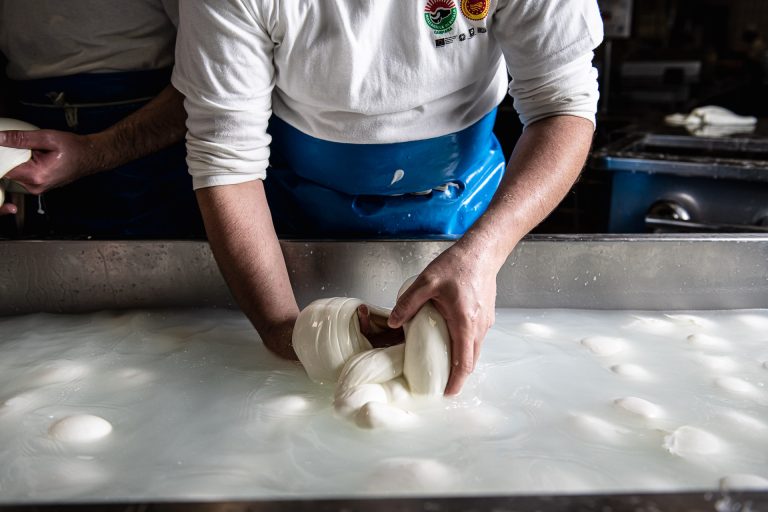 La Bufala Campana fa bene all’ambiente: per ogni kg di mozzarella DOP sottratti 52 kg di Co2 dall’ambiente