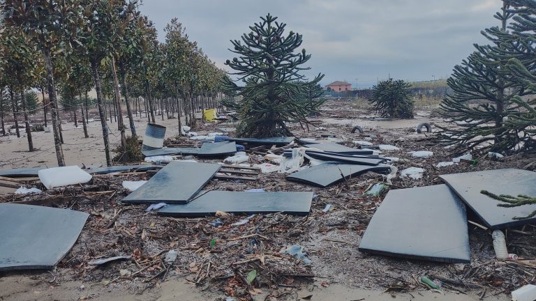 Alluvione. A Pistoia la storia del vivaio ancora sommerso dai fanghi. Danni per oltre 1,5 mln di euro