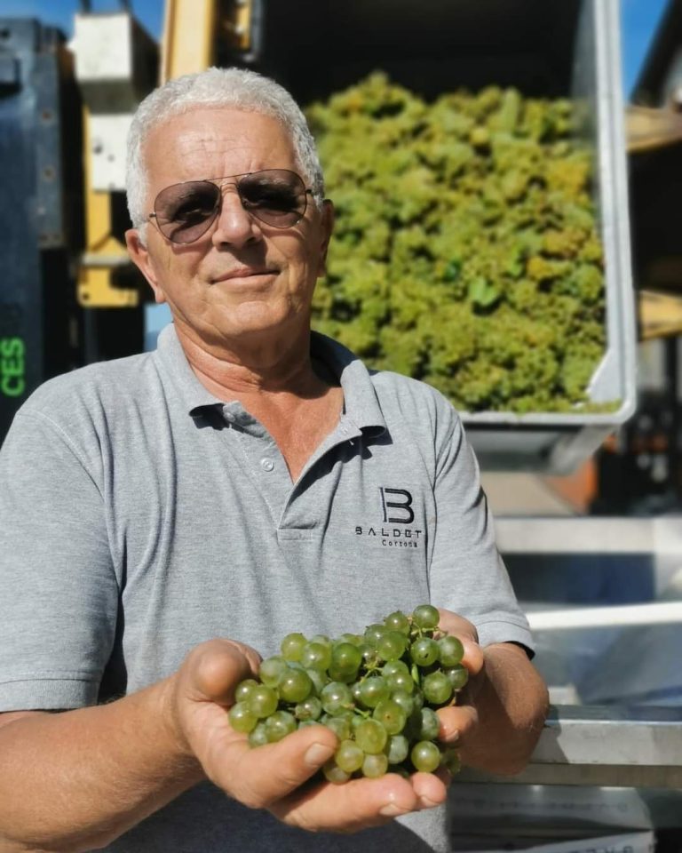 Lutto nel mondo del vino: ci ha lasciati Alfonso Baldetti, tra i fondatori della Cortona Doc, in Toscana