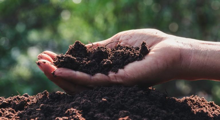 La salute del suolo passa dall’agricoltura. Abaco lancia la piattaforma 4.0 per gestire i terreni