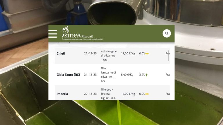 Prezzi olio d’oliva: le quotazioni (al 26 dicembre) evidenziano i prezzi dell’extravergine uguali agli oli a denominazioni (Dop e Igp)