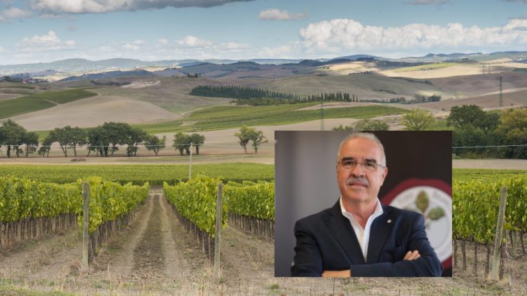 Rosso di Montalcino: il Consorzio amplia gli ettari di vigneto del 70% (+364 ha). Il potenziale delle bottiglie arriva a 6,6 milioni (+ 3 milioni). Positivo anche per il Brunello