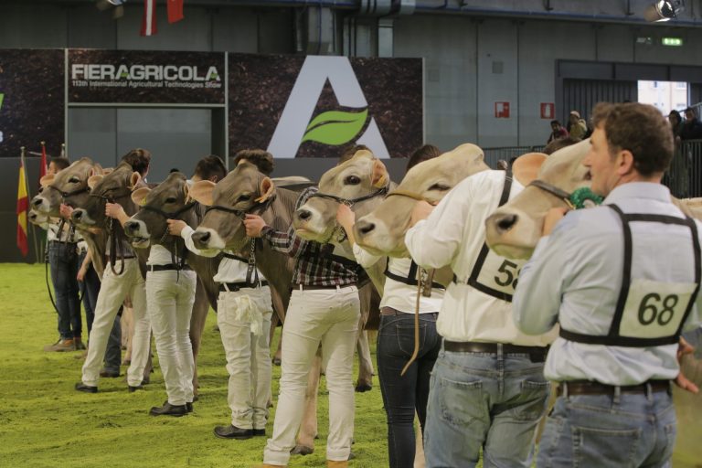 Fieragricola. Domani al via la 116esima edizione con 820 espositori e buyer da 28 nazioni