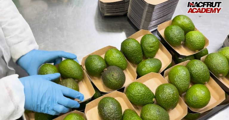 Boom di avocado e mango in Italia. Negli ultimi cinque anni import di avocado +120%, mango +37%. I dati Ismea-Macfrut