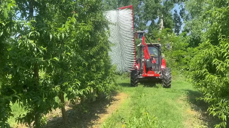 CaBa Industrie, novità a Fieragricola: CT 80 e DRF 300,  la cimatrice e la diradatrice da frutteto