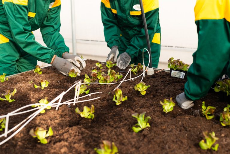 Liberi di Coltivare. Al carcere di Cuneo progetto di agricoltura sociale: opportunità di rieducazione e rinascita per i detenuti