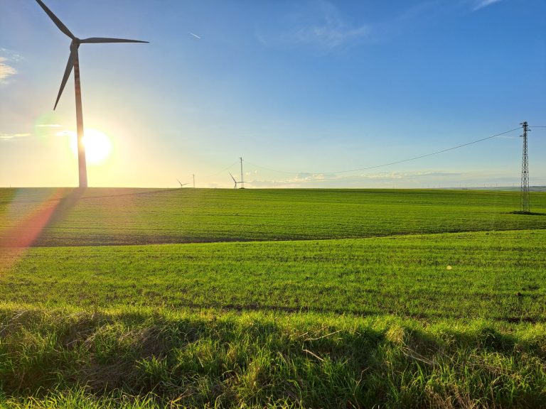 In Puglia uno dei più grandi impianti agrivoltaici: 39 ettari e una potenza nominale di 20 MW