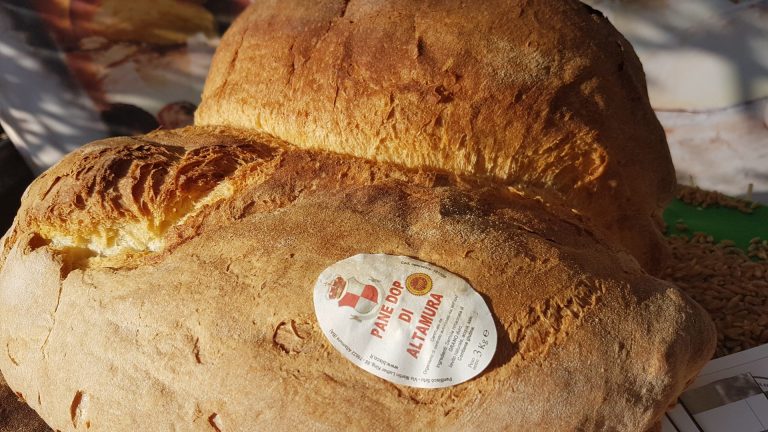 Pane di Altamaura Dop. Cia Puglia favorevole ‘Ma senza pasticci e col giusto riconoscimento per i nostri cerealicoltori’