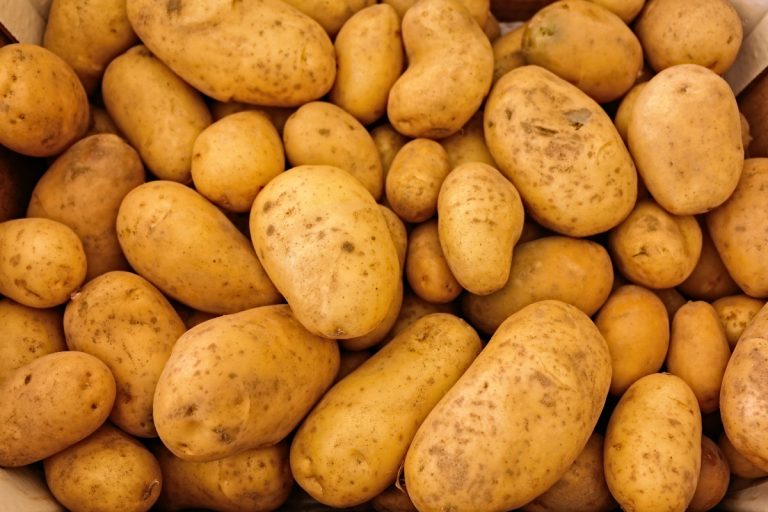 Cresce il valore delle patate: + 0,54 euro/kg. In Europa manca il prodotto, rese basse e clima sfavorevole