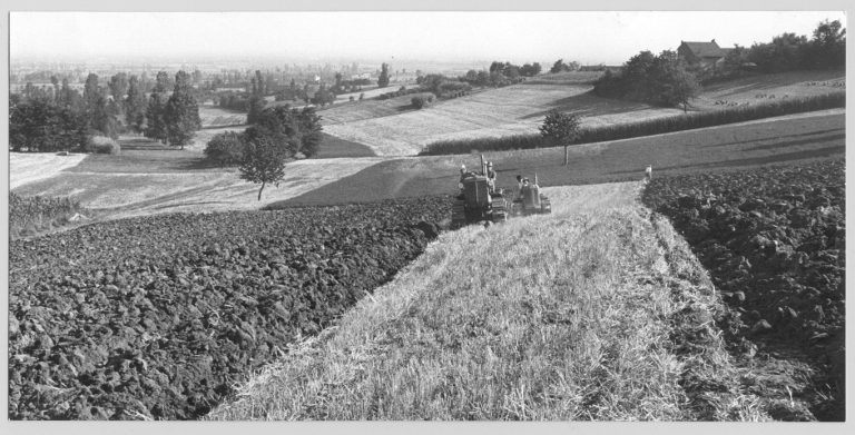 Le applicazioni dell’Intelligenza Artificiale per la storia dell’agricoltura e del paesaggio. Il 25 gennaio ai Georgofili