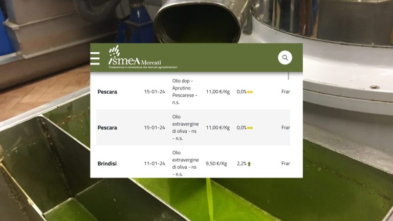 Prezzi olio d’oliva al 16 gennaio 2024. Quotazioni ancora in aumento per l’extravergine in 4 piazze pugliesi (fino a +2,4% per 9,50 euro al kg), stabili le Dop