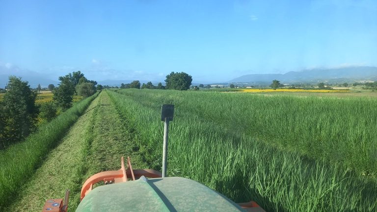 In Umbria il lago Trasimeno si prosciuga. Allarme stress idrico per i prossimi mesi. Anbi: ripensare i piani colturali