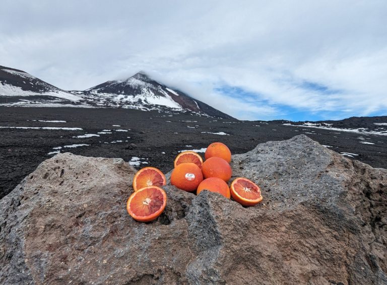 L’Arancia Rossa di Sicilia IGP sull’Etna. Un’eccellenza che vale 40 milioni di fatturato e oltre 500 imprese