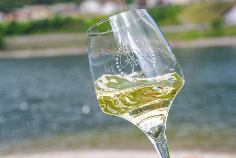 Oltre 230 milioni di bottiglie all’anno per il Pinot Grigio Doc delle Venezie