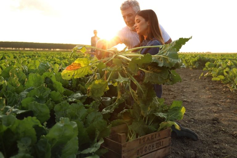 Coca Cola e Italia Zuccheri ancora insieme: la filiera barbabietola vale 7mila agricoltori per lo zucchero made in Italy