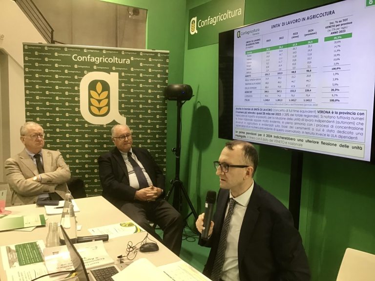 Export agroalimentare Italia: Verona scavalca Cuneo e conquista il primo posto nazionale con 3,2 miliardi di valore