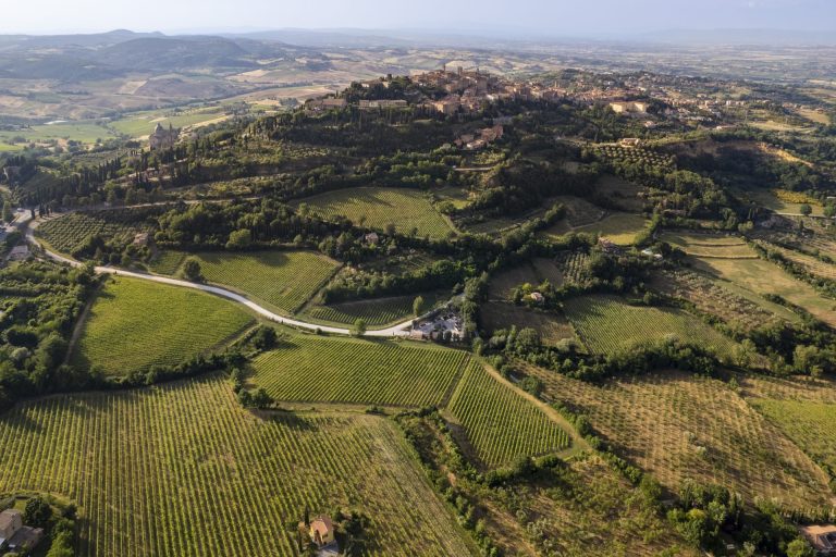 Vino Nobile di Montepulciano: un patrimonio da 1 miliardo e 6,9 milioni di bottiglie (Rosso a 2,6 mln)