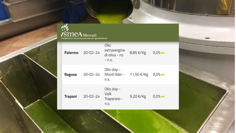 Prezzi olio d’oliva al 20 febbraio 2024. Quotazioni stabili per le Dop, stabile anche l’extravergine con variazioni a Foggia (+0,5% per 9,40 euro/kg) e Ragusa (-2,3% per 10,65 euro/kg)