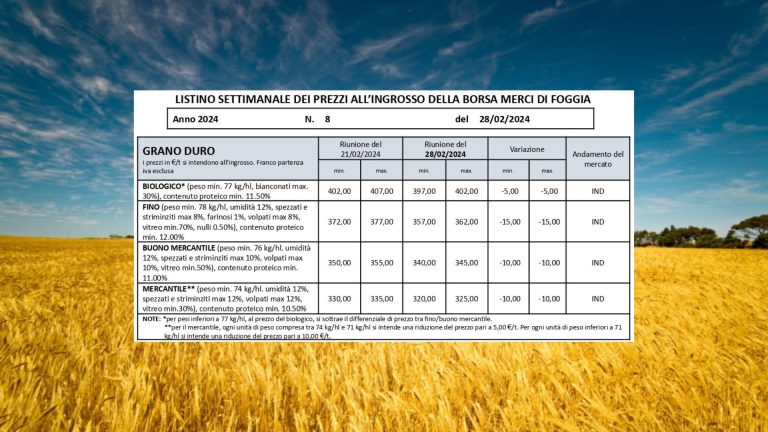 Grano duro, quotazioni (28 febbraio) ancora in calo a Borsa Foggia: Fino a – 15 euro (357-362 euro/t.) perde 33 euro in un mese