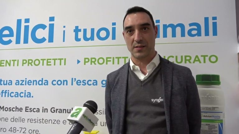 Da Syngenta l’innovativo metodo di controllo degli insetti molesti negli allevamenti a base di Indoxacarb