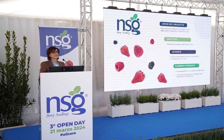 Nova Siri Genetics. Fragole e piccoli frutti: a Policoro Open Day sull’innovazione varietale che genera valore