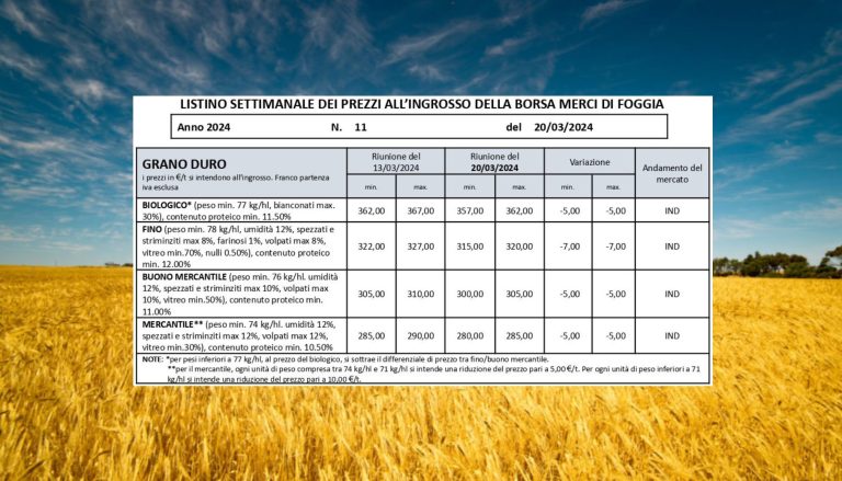 Il prezzo del grano duro continua a precipitare: a Foggia il Fino (-7 euro) quotato 315-320 euro a tonnellata (-75 euro in quasi 2 mesi)